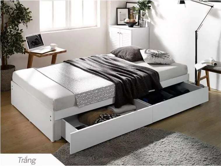 huong-dan-su-dung-va-bao-quan Giường ngủ 1m2 gỗ công nghiệp